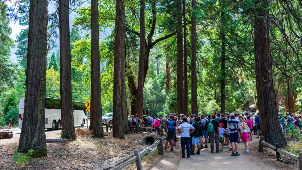 Crowd of people standing on paved path under large trees waits for shuttle buses in Yosemite National Park.