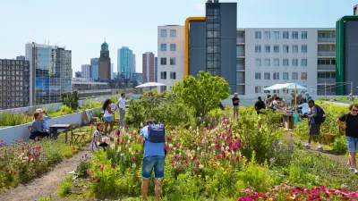 Green roof in Rotterdam, The Netherlands