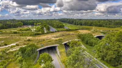 Grassy wildlife crossing overpass over a multilane road in The Netherlands