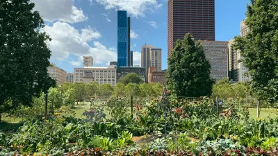 Community garden in Chicago, Illinois with view of city skyline