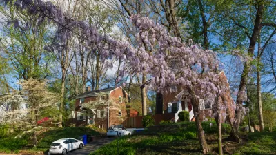 Red brick homes with blooming wisteria in foreground in Arlington, Virginia