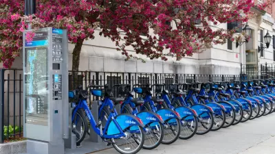 Citi Bike station in Astoria, Queens filled with bikes under pink flowering tree
