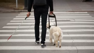 Man crossing crosswalk with seeing eye dog and cane