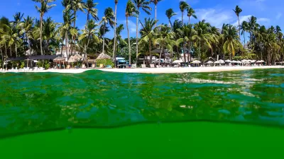 Algae Bloom