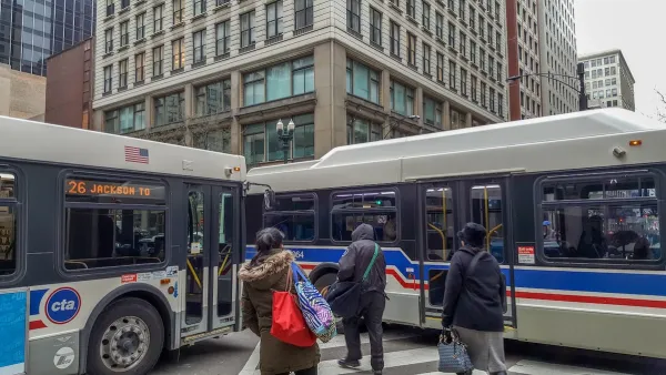White Chicago transit buses at an intersection.