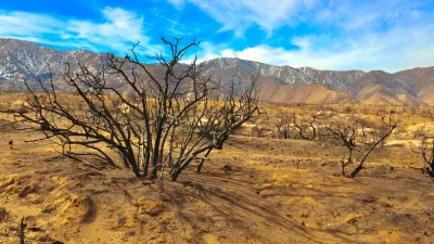 Burned plants near Devil's Punchbowl after 020 fires