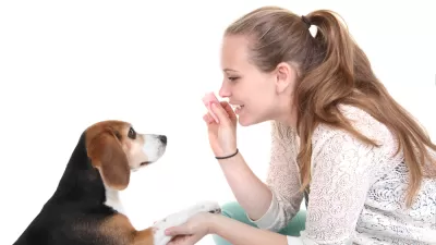 Pet Dog