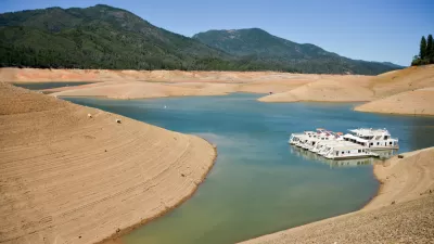 Shasta