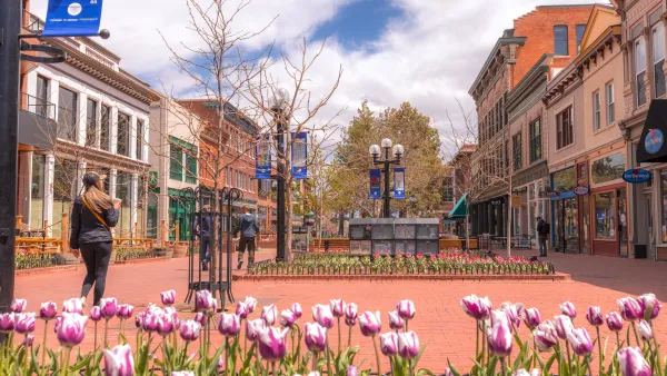 The Pearl street mall, with tulip blooming on a sunny spring day.
