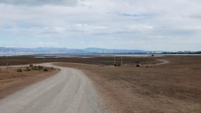 Gravel trail winds through grassy marshy field in Baylands Park, Palo Alto