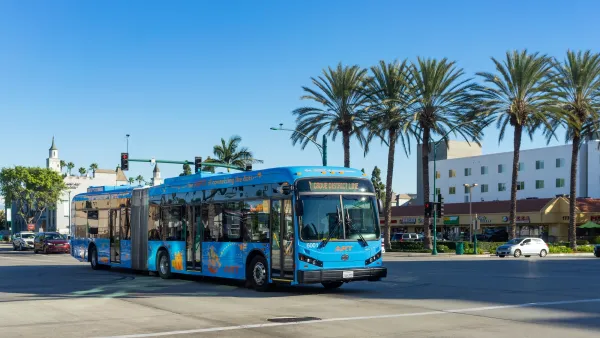 Blue Anaheim city bus driving down street with row of palm trees.