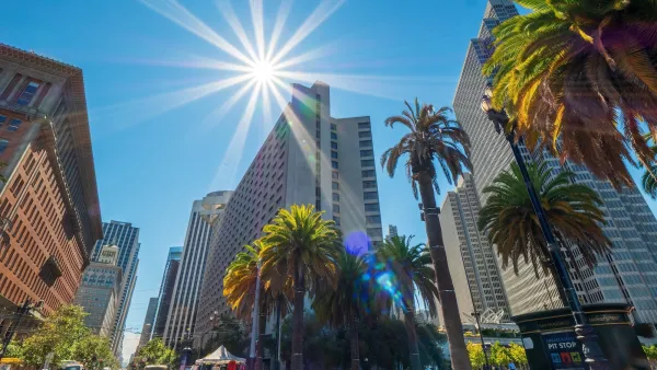 Office buildings and tall palm trees on a bright sunny day in San Francisco, California.