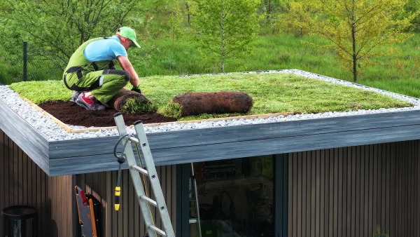 A gardener installs a patch of grass onto the roof of a shed.