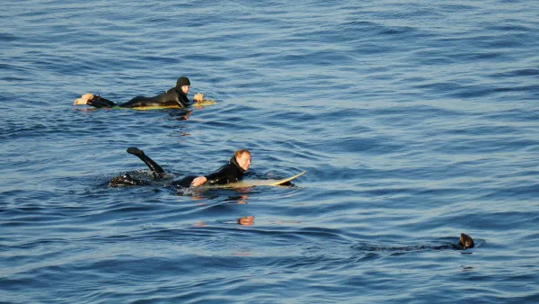 Two surfers laying on their boards in calm water in Santa Cruz, California.