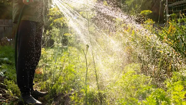Person in galoshes spraying a garden with a water hose.