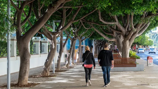 Two people walking on wide sidewalk shaded by mature trees in Malaga, Spain.