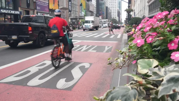 A bicyclist rides in a bus lane in NYC
