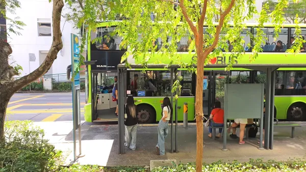 A bus in Singapore at a stop behind a tree, waiting for passengers to get on.