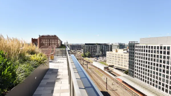 Roof on residential building in Washington DC with green grasses growing in middle planter.