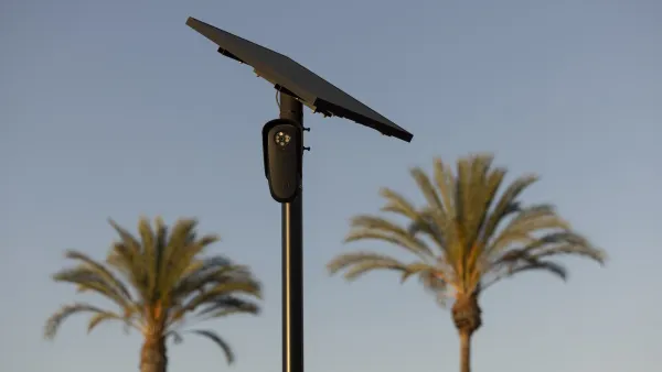 A black Flock camera on a thin pole with blurred palm trees in background.