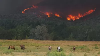 Wildfire
