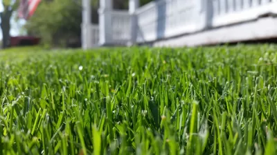 Close-up from ground level of green lawn with colonial house in background