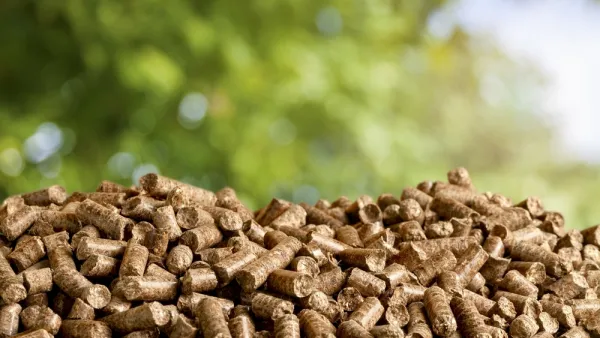 Biomass