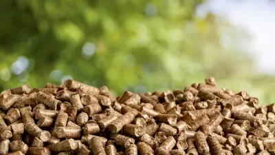 Biomass