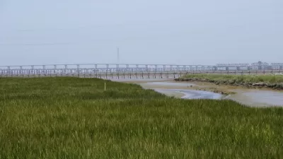 Bay Area Wetlands