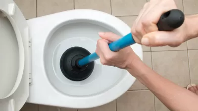 Plunger