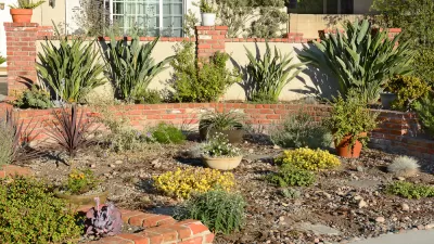 Drought Tolerant Landscape