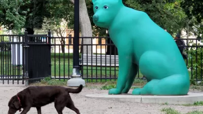 City Dogs