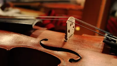 Violin