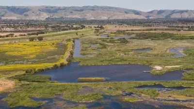 Meadow Wetlands