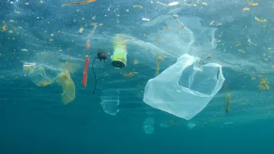 Litter