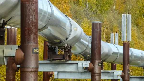 The Trans Alaska Pipeline with the Alaskan forest behind it. The leaves have turned yellow.