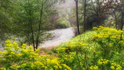 California River