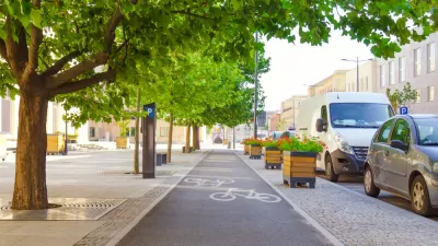 Urban separated bike lane with street trees on one side and cars parked on the other