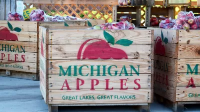 Apple Orchard