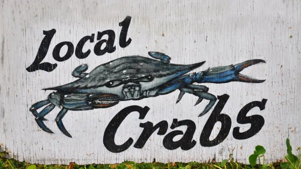 Baltimore Crabs