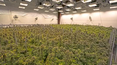 Indoor Grow Room
