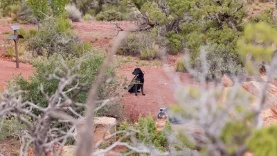 Wilderness Trails