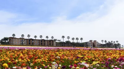 Agricultural Land