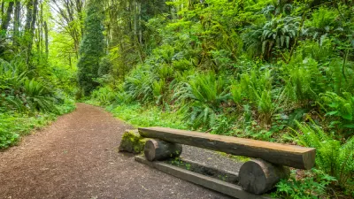 Trail