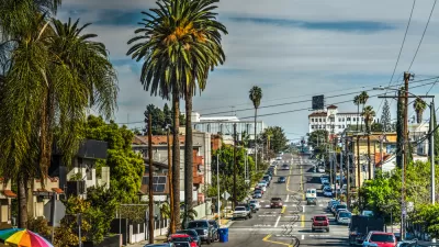View down a Los Angeles street with cars and tall palm trees on both sides