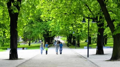 Trees and People