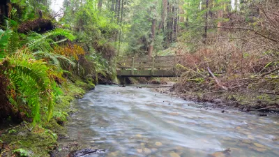 Coast Stream