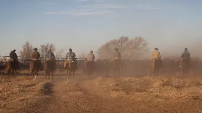 Cattle Ranch