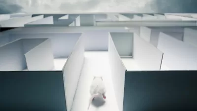 Rat Race