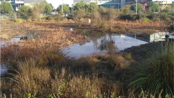 South LA Wetlands Park in Los Angeles, California.